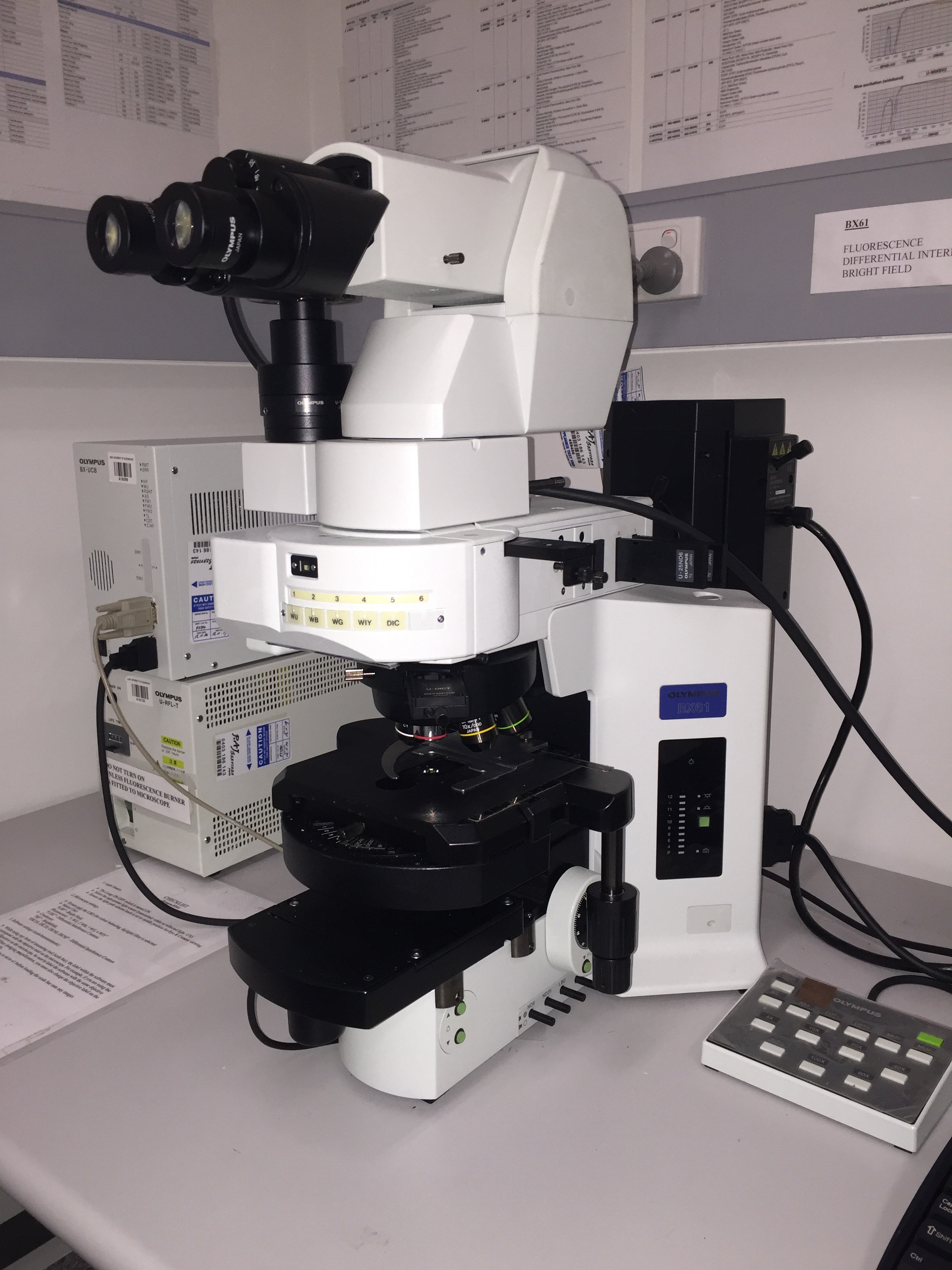 olympus bx61 light microscope centre for microscopy and olympus optical microscope